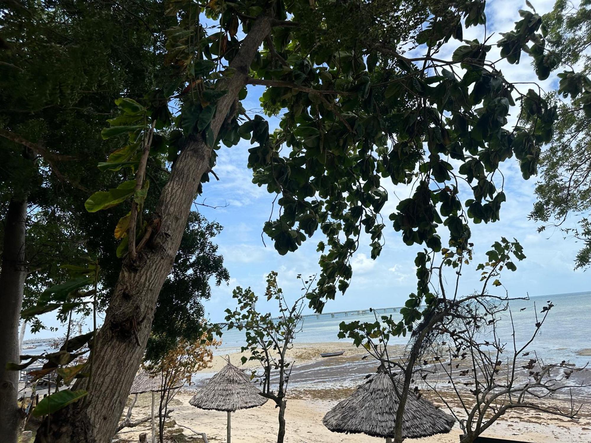 Maweni Beach Bungalows Килиндони Екстериор снимка